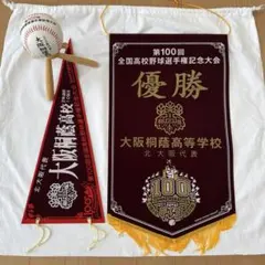 大阪桐蔭 応援セット キャップ・タオル・メガホン 大阪桐蔭 応援セット キャップ・タオル・メガホン - メルカリ