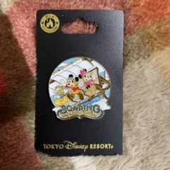 ディズニー ピンバッジ ソアリン ピンバッチ ピントレード イッツアスモール