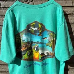 Pier27 メキシコ カンクン Tシャツ アニマル オウム L /774