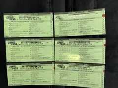 ユニバーサル・エクスプレス・パス 6枚セット