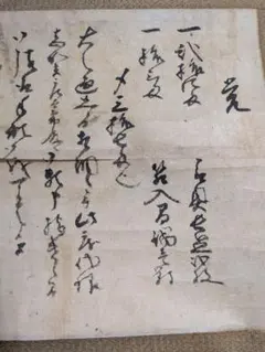 Item thumbnail for item d5286a3a-22b7-4347-97c8-88d3fab93f33