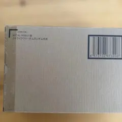 METAL ROBOT魂 ＜SIDE MS＞ ストライクフリーダムガンダム弐式