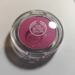 BODY SHOP カラークラッシュ アイカラー 310のサムネイル