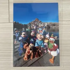 Disney - 完売 篠山紀信 実写 フォト ネックストラップ　新品 Disney - 完売 篠山紀信 実写 フォト ネックストラップ 新品