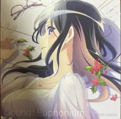 響け！ユーフォニアム 最終楽章 入場者特典 スタンドビジュアルカード
