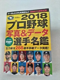 2018 プロ野球選手名鑑 写真＆データ