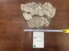 Item thumbnail for item 6723f25a-5b7c-4573-92df-aebe515d22a9