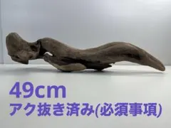 Item thumbnail for item 0284db82-c8f4-44fa-ad09-4959dbbf2b82