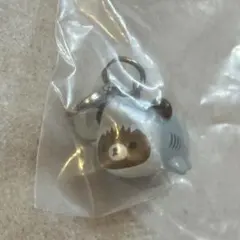 うみリラきぶん マーカーアクセサリー チャイロイコグマ
