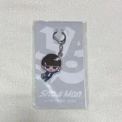 SnowMan すのチル アクリルキーホルダー 渡辺翔太