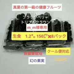 m_m様専用　ブラックベリー　トリプルクラウン　生食　1.2㌔　 クール便対応のサムネイル