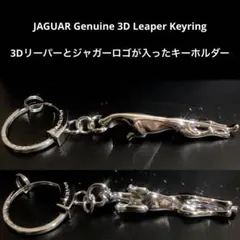 JAGUAR メタルキーホルダー 2個セット ジャガー Jaguar オーバルキーホルダー キーリング 鍵