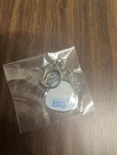 【新品】真中まな FRUITS ZIPPER ラッフルくじ だるまアクキー