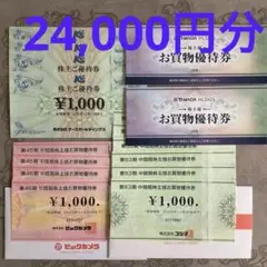 ビックカメラ コジマ ケーズデンキ ヤマダデンキ 株主優待券 24000円分