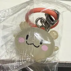 TRUZ めじるしアクセサリー キラキラ RURU ルル