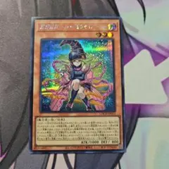 LOCH-JP012 ガガガガールーゼロゼロコール シークレット