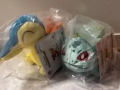 ポケモン　一番くじ　ヒノアラシ　フシギダネ