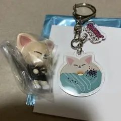 SKZOO フォクシニー　ガチャ　アクリルキーホルダー　アイエン