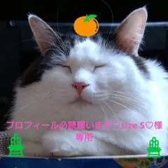 プロフィール必読願います♡size S♡専用