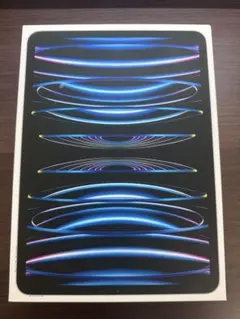 Apple iPad Pro 第4世代 11インチ 256gb