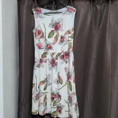 Item thumbnail for item a3dbecf9-b4e7-414c-bfa2-0821bec16984