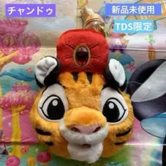 新品★TDR限定☆東京ディズニーシー★チャンドウ☆パスケース★TDS