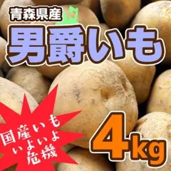 1920❄️クール便【秀品】特大4L3kg 梅干し用完熟南高梅 キルトパッチ梅店 1920❄️クール便【秀品】特大4L3kg 梅干し用完熟南高梅 キルトパッチ