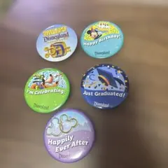 カリフォルニアディズニー 缶バッジ セット