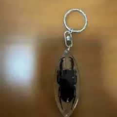 クワガタ 標本 キーホルダー レジン封入のサムネイル