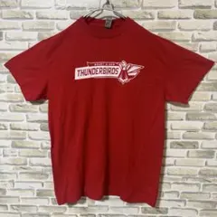 GILDAN THUNDERBIRDS カレッジ　Tシャツ　ユニセックスM