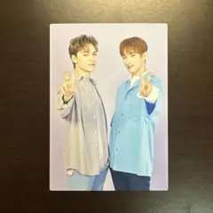 SEVENTEEN セブチ 2020 ドームツアー トレカ ドギョム バーノン