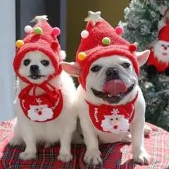 【４点セット】クリスマス ペット服 犬服 帽子 ペットウェア トナカイ 猫