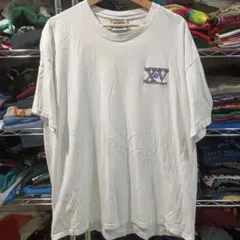 USA古着 ヴィンテージ USA製 Lee 企業 ワーク 刺繍 Tシャツ