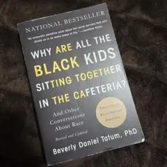 なぜ黒人の子供はカフェテリアでたむろするのか　洋書　社会　経済　人文