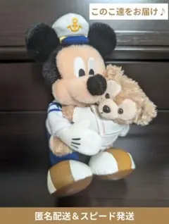 厳選！【写真のこ達をお届け】TDS ミッキー＆ダッフィー ぬいぐるみバッジ 1点