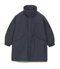 ⭐︎ちゃばなな様専用the north face purple lable ダウン