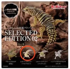 いきもの大図鑑アドバンス　レオパードゲッコー（ベルアルビノ）