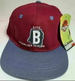 Item thumbnail for item 15f6377b-8fad-4407-b2f9-60848ff7dbc5