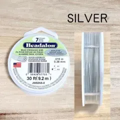 Item thumbnail for item 546804d7-e52c-47df-b201-a238b4cb4ce4