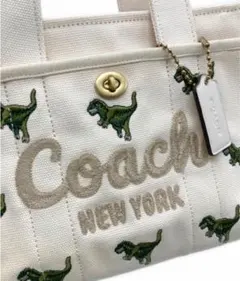 2025年最新】coach レキシー ショルダーの人気アイテム - メルカリ