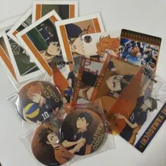 ハイキュー 烏野 日向翔陽 影山飛雄 缶バッジ カード ぱしゃこれ