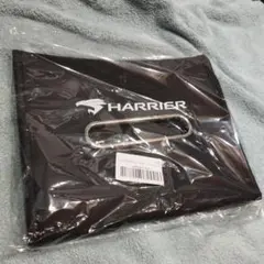 Item thumbnail for item 85c3d475-cae8-42d2-80d4-1aa9e8806c0d