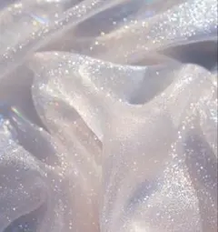 専用出品
