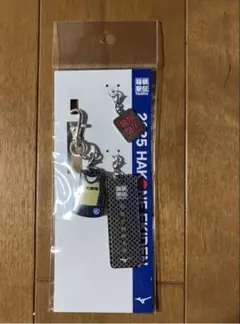 【新品】2025箱根駅伝HAKONE EKIDENキーホルダー全19校セット 新品】東洋大学2025箱根駅伝HAKONE EKIDEN キーホルダー - メルカリ