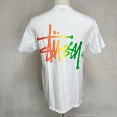 STUSSY ラスタ バックプリントロゴ Tシャツ M 00s ステューシー