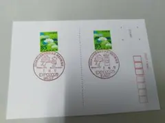 Item thumbnail for item 91f0a44e-43ac-496f-98c6-f807bd69d7a6