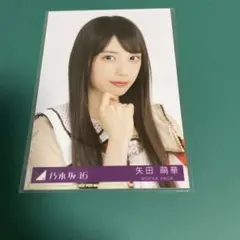 ビリヤニ 封入 生写真 乃木坂　矢田萌華