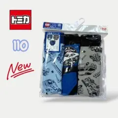 Item thumbnail for item 1a5f8e8e-53f3-4ac5-9f5e-c4bde2be9d3a