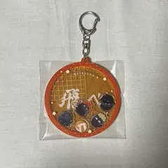 ハイキュー‼︎ FAN PARK わちゃころ アクリルキーホルダーコレクション烏野