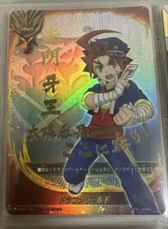 2026年最新】バディファイト フラッグ シークレットの人気アイテム